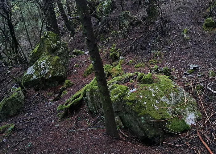 Wood By The River - For Nature Lovers Alpstuga Vytina