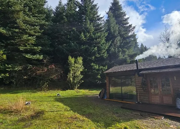 Wood By The River - For Nature Lovers Vytina